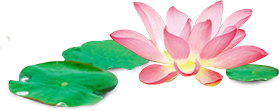 長沙沁園灌溉有限公司_湖南農(nóng)業(yè)水肥一體化灌溉|湖南別墅庭院智能灌溉