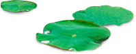 長沙沁園灌溉有限公司_湖南農(nóng)業(yè)水肥一體化灌溉|湖南別墅庭院智能灌溉