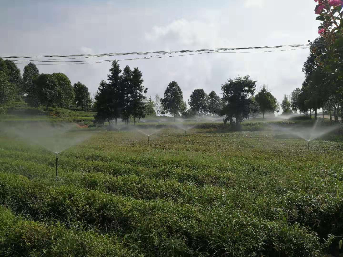 湖南農業(yè)水肥一體化灌溉,湖南別墅庭院智能灌溉,長沙沁園灌溉有限公司,湖南足球場噴灌,長沙足球場噴灌,足球場噴灌,足球場灌溉,長沙足球場灌溉,湖南足球場灌溉